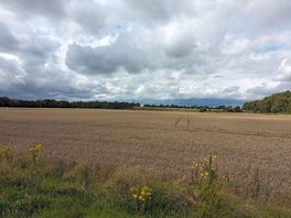 More fields