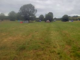 Open field