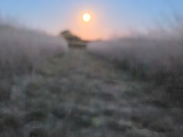Full moon