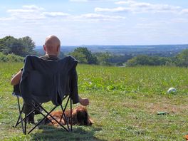 View from the top field