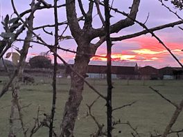 Gorgeous sunset