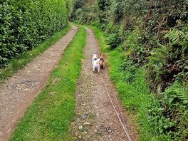 Heading home
