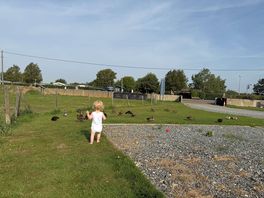 My son loved feeding the ducks every day.