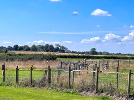 Dog exercise areas