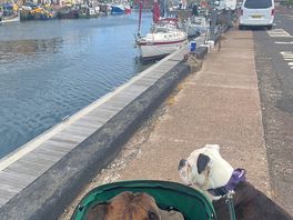 Beautiful day spent down the harbour in eyemouth