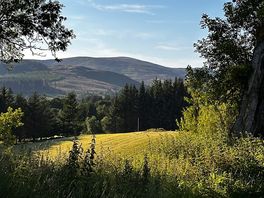 The view from our tent
