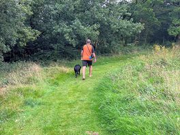 Meadow walk for dogs