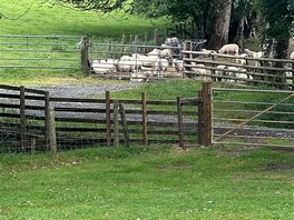 Our neighbours