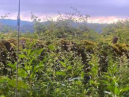 View from the tent