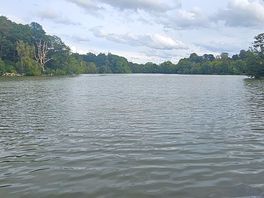 Walk around the lake