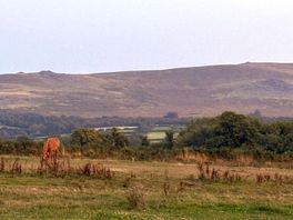 Preselli hills- where the original stonehenge stones were quarried