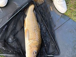 Carp fishing on site