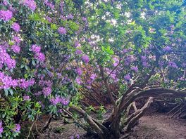 Beautiful walks around site