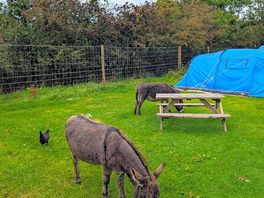 Our visitors at breakfast.