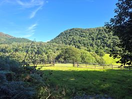 View from our camper
