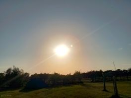 Sun