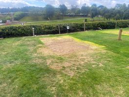 Pitch