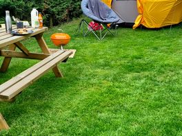 Small glamping tent and surrounds.