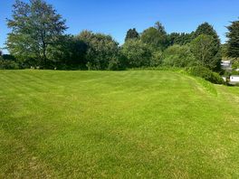 Non-electric pitches backed by trees