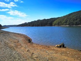 The reservoir