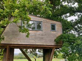 Rear view of the tree house