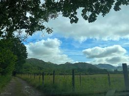 Scenery