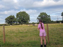 Enjoying the views of the animals