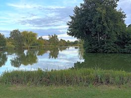 One of the lakes that is located right next to the cafe/bar.