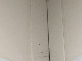 These were here for the three nights stayed