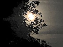 Quiet night