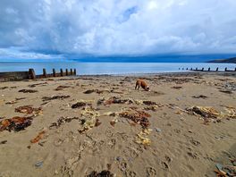Cei bach beach, a matter of less than two minutes from the caravan door.