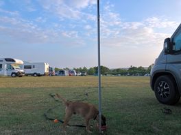Camping field