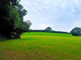 Playing/dog walking field