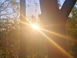 Sun set