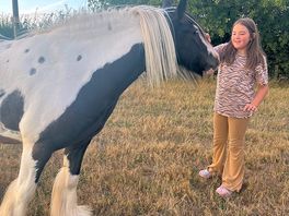 My daughter adored the pony