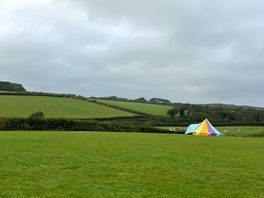 The grass pitch