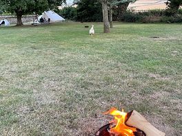 Camping glade