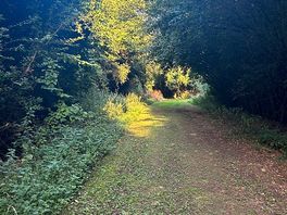 Lovely nature walks