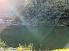 Beautiful lake, i saw some swimmers just didn’t know how to get in- something for next time!