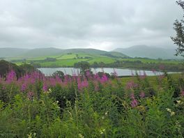 Lake district hillside on an overcast day.