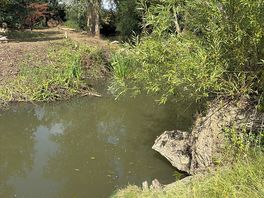 Wild swimming