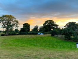 Top of the field