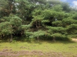 Lovely nature all around