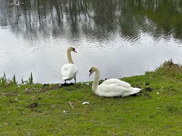 Lovely lakes