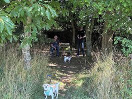 Shady spots