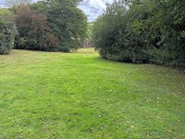 Open area in the woods