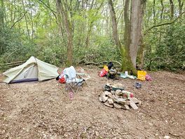 The woodland pitch!