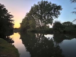 Evening sunset