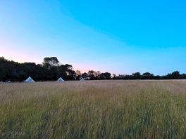 Readers field