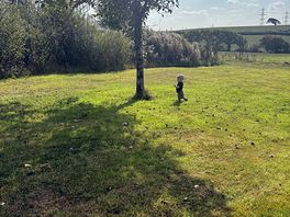 Fields